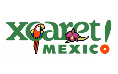 Partner 6